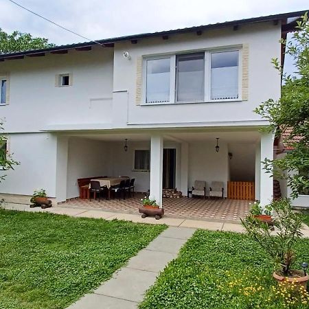 Casa Pandrea Pensionat Cîrţişoara Exteriör bild