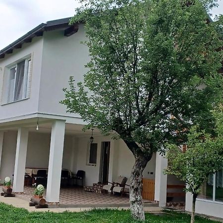 Casa Pandrea Pensionat Cîrţişoara Exteriör bild