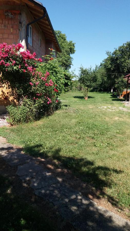 Casa Pandrea Pensionat Cîrţişoara Exteriör bild