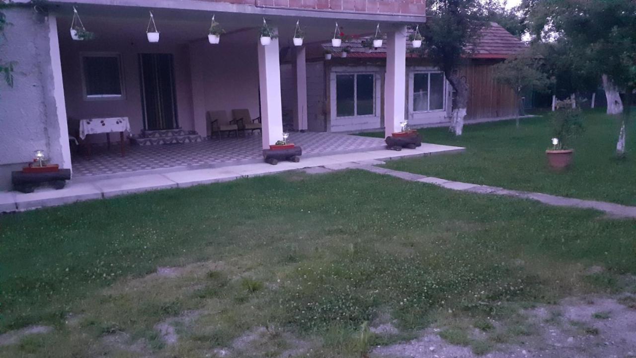 Casa Pandrea Pensionat Cîrţişoara Exteriör bild