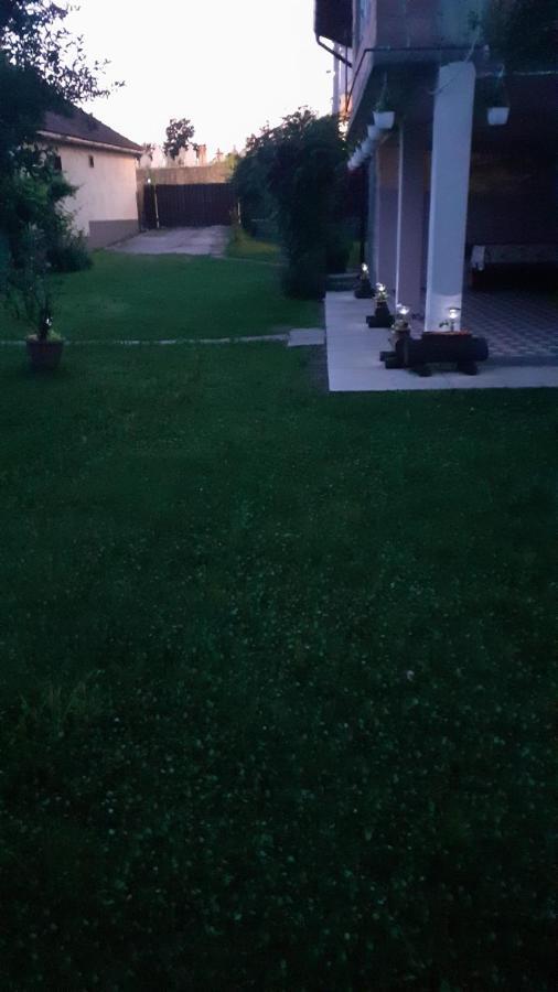 Casa Pandrea Pensionat Cîrţişoara Exteriör bild