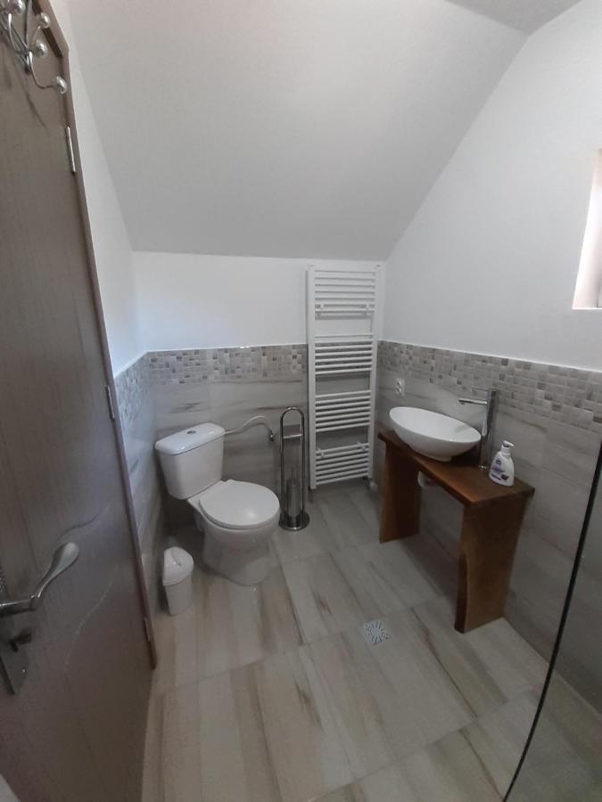 Casa Pandrea Pensionat Cîrţişoara Exteriör bild
