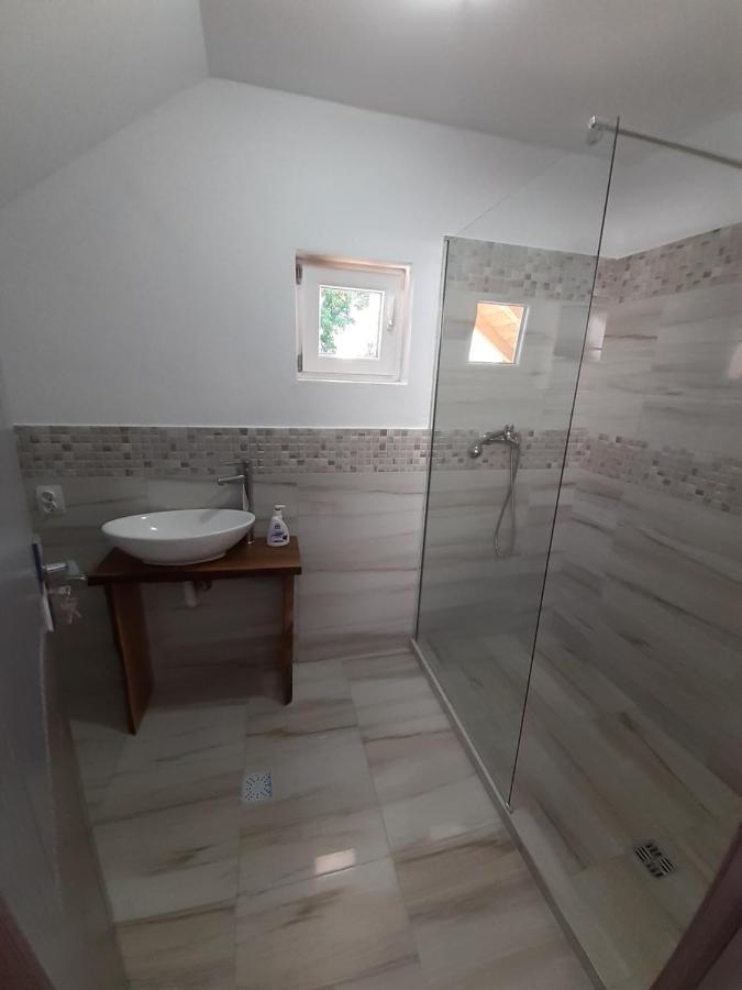 Casa Pandrea Pensionat Cîrţişoara Exteriör bild