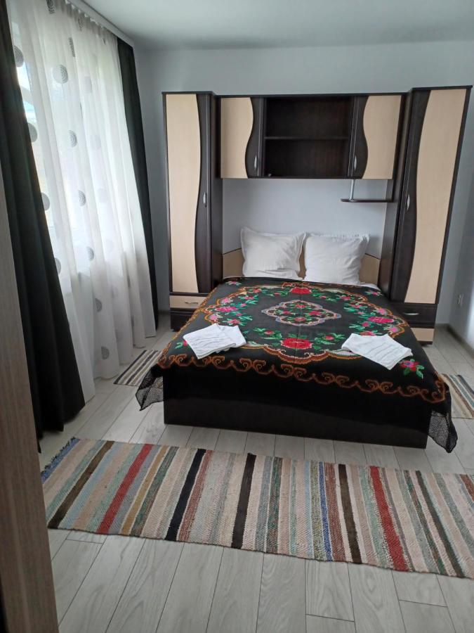 Casa Pandrea Pensionat Cîrţişoara Exteriör bild