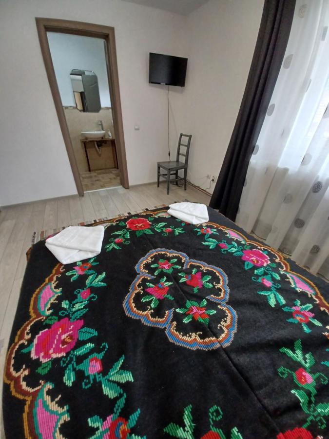 Casa Pandrea Pensionat Cîrţişoara Exteriör bild