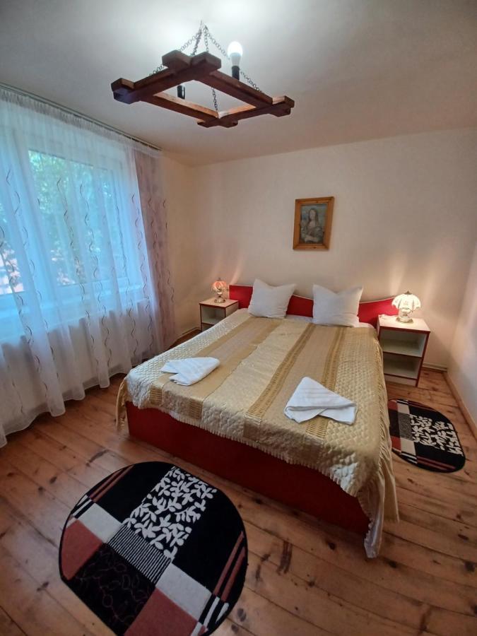 Casa Pandrea Pensionat Cîrţişoara Exteriör bild