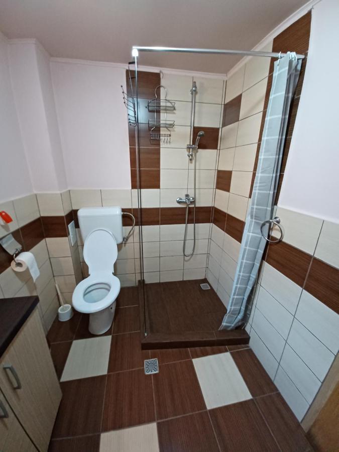 Casa Pandrea Pensionat Cîrţişoara Exteriör bild