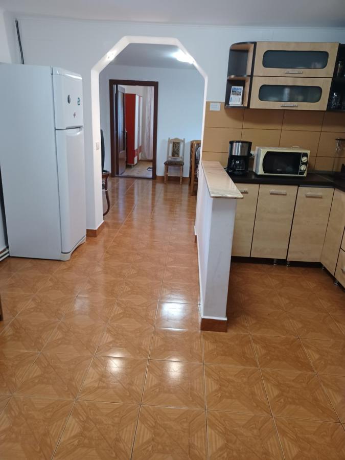 Casa Pandrea Pensionat Cîrţişoara Exteriör bild