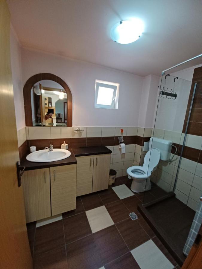 Casa Pandrea Pensionat Cîrţişoara Exteriör bild