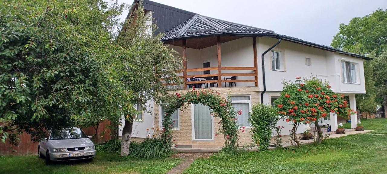 Casa Pandrea Pensionat Cîrţişoara Exteriör bild