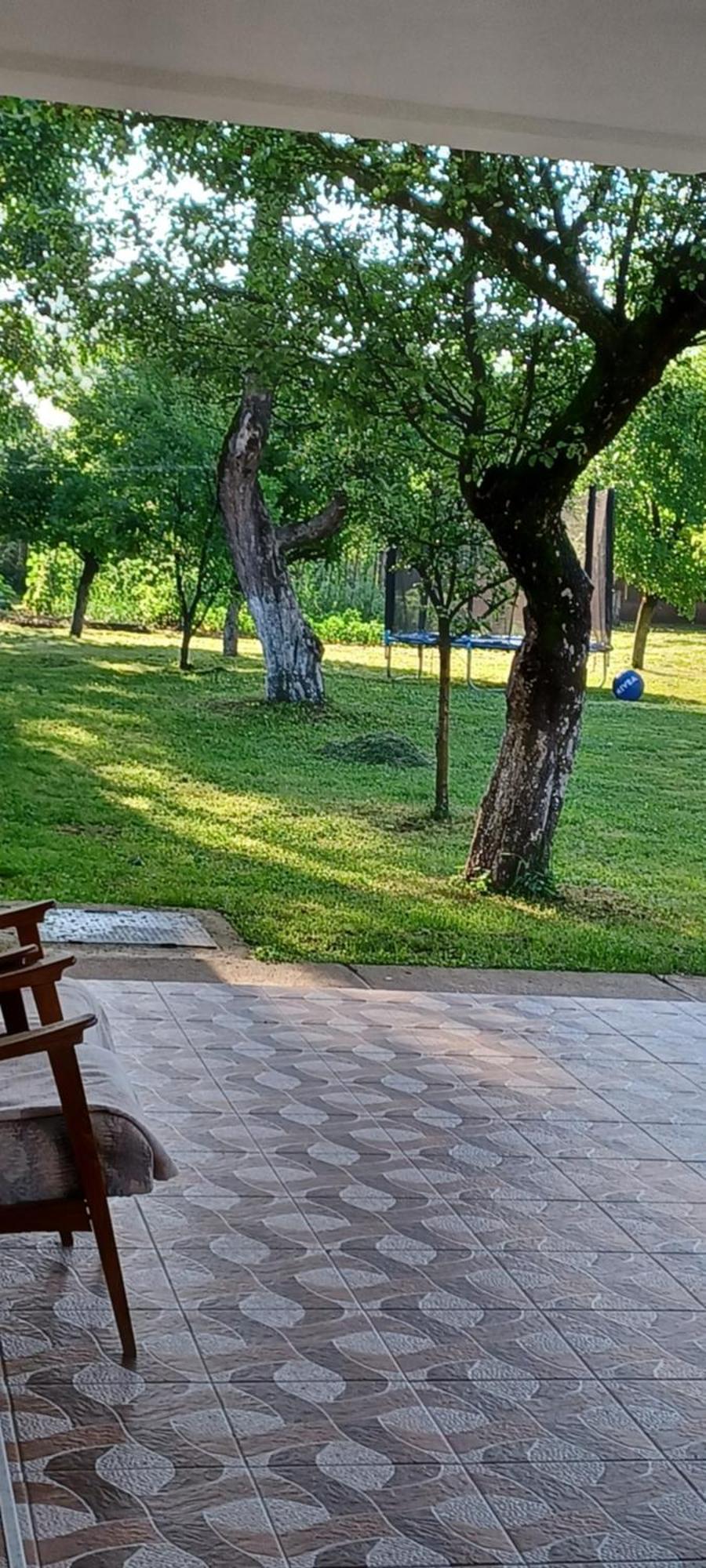 Casa Pandrea Pensionat Cîrţişoara Exteriör bild