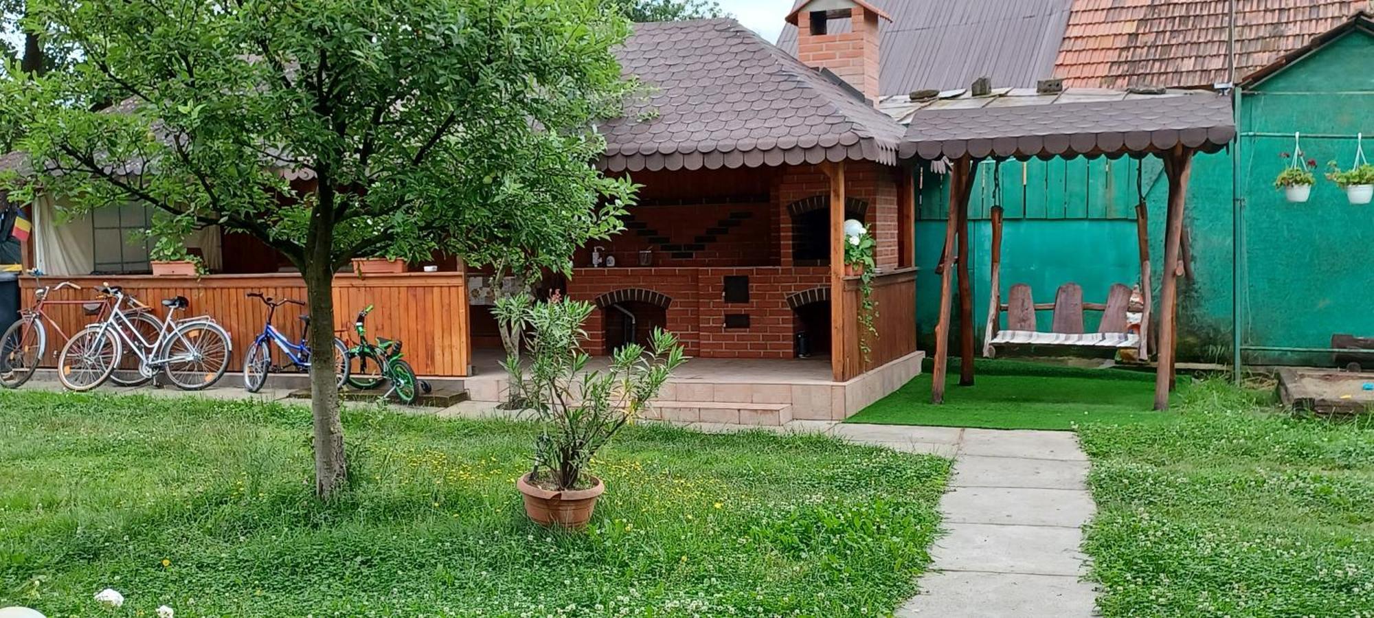 Casa Pandrea Pensionat Cîrţişoara Exteriör bild