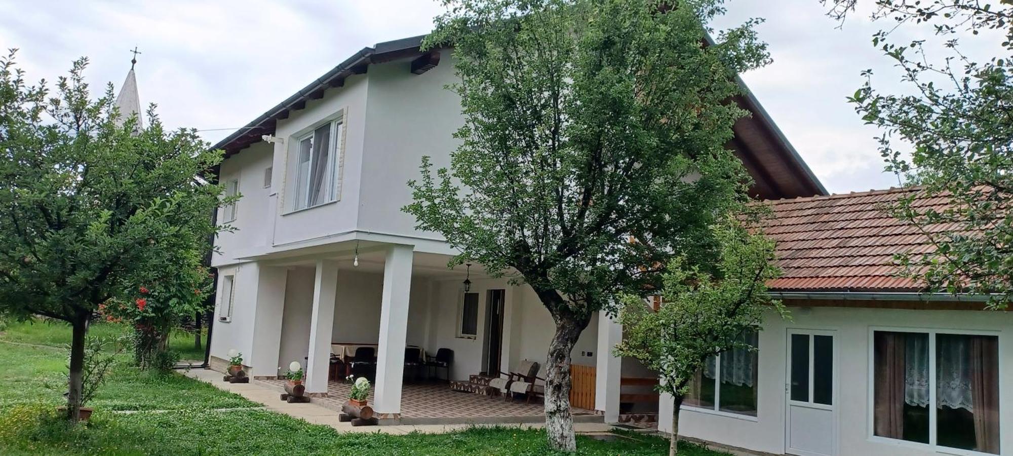 Casa Pandrea Pensionat Cîrţişoara Exteriör bild